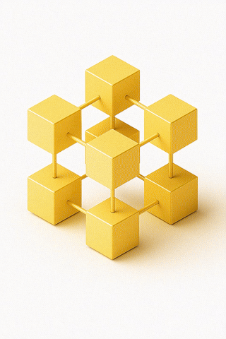 animated Custom Software Development